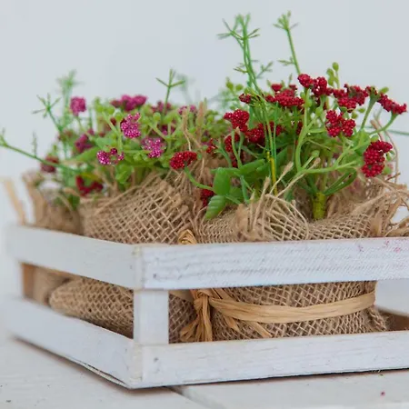 아파트 Typical Light Filled Graca W Ac, By Timecooler 리스본