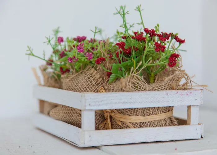 شقة Typical Light Filled Graca W Ac, By Timecooler Lisboa